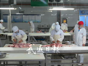 图片新闻 工人正在加工羊肉制品