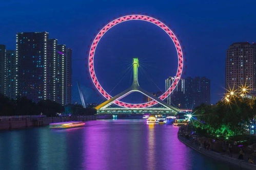 是什么理由让你选择留在天津
