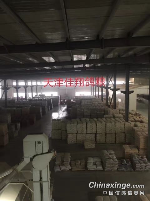 天津佳翔信鸽用品作为全 天津佳翔信鸽用品