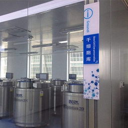 盛世利众 图 干细胞生物 天津干细胞